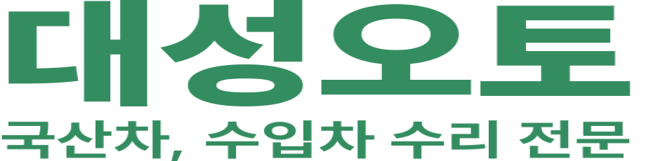 대성오토 로고 이미지