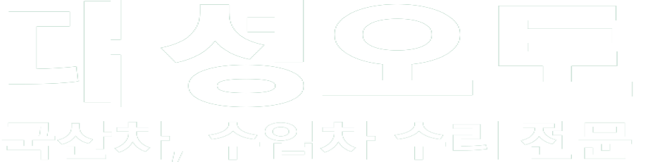 대성오토 화이트 로고 이미지